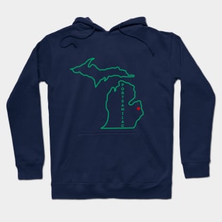 Port Sanilac MI Love (Green) Hoodie